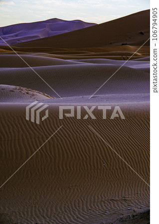 Beautiful sand dunes in the Sahara desert Beautiful sand dunes in the Sahara desert 106794905