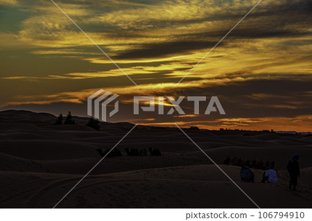 Beautiful sand dunes in the Sahara desert 106794910