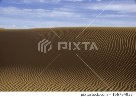 Beautiful sand dunes in the Sahara desert 106794932
