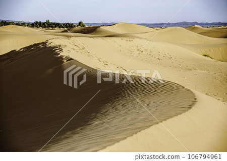 Beautiful sand dunes in the Sahara desert Beautiful sand dunes in the Sahara desert 106794961