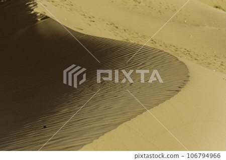 Beautiful sand dunes in the Sahara desert Beautiful sand dunes in the Sahara desert 106794966