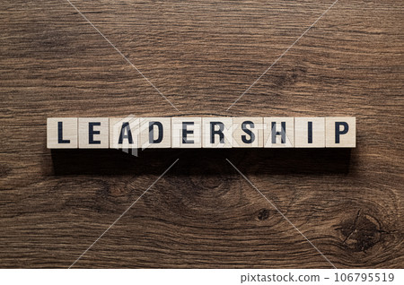 Leadership - word concept on building blocks, text Leadership - word concept on building blocks, text 106795519
