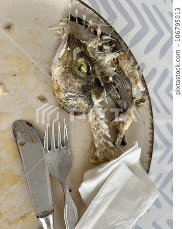 leftovers of fish on plate 106795913