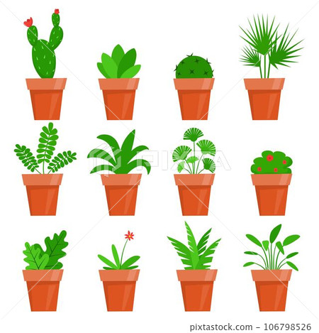 Potted plants and flowers. Cute house plants in flat style. Vector illustration. Potted plants and flowers. Cute house plants in flat style. Vector illustration. 106798526