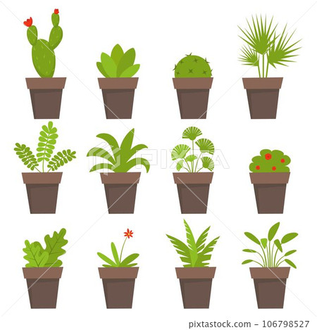 Potted plants and flowers icons. Cute house plants in flat style. Simple vector illustration. 106798527