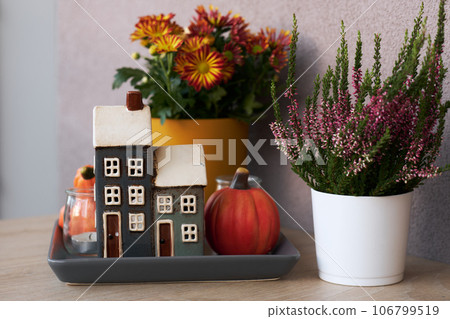 Cute autumn hygge home decor arrangement with pink heather and chrysanthemum flowers. 106799519