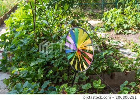 Multi-colored spinner toy rotating in the garden of a cottage colorful wind turbine on a background of green leaves. Multi-colored spinner toy rotating in the garden of a cottage colorful wind turbine on a background of green leaves. 106800281