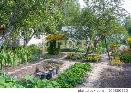 Fruit and flower garden and vegetable garden near the cottage. Fruit and flower garden and vegetable garden near the cottage. 106800310