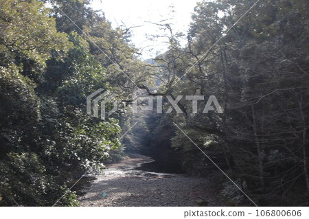 Ise Grand Shrine (Inner Shrine) Isuzu River 106800606