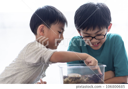 Brothers observing beetles 106800685