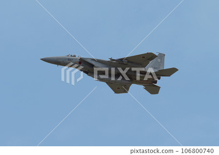 Air Self-Defense Force 303rd Squadron F-15J Eagle 106800740