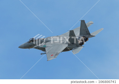Air Self-Defense Force 303rd Squadron F-15J Eagle 106800741