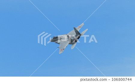 航空自衛隊第303中隊F-15DJ鷹轉彎 106800744