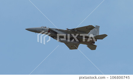 Air Self-Defense Force 303rd Squadron F-15J Eagle Air Self-Defense Force 303rd Squadron F-15J Eagle 106800745