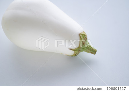 White eggplant with hard skin but soft and delicious flesh 106801517
