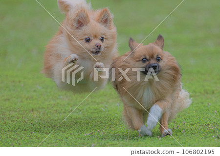 Dockland Dockland 106802195