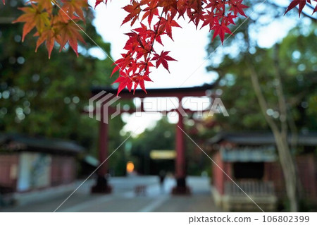 Rabbit, Rabbit, Rabbit, Cho Shrine, Shrine, Saitama Prefecture, Rabbit Shrine, Japan, Shinto, Building, Rabbit Rabbit, Sculpture, Stone Statue, Animal, Rabbit, Rabbit, Rabbit, Cho Shrine, Shrine, Saitama Prefecture, Rabbit Shrine, Japan, Shinto, Building, Rabbit Rabbit, Sculpture, Stone Statue, Animal, 106802399