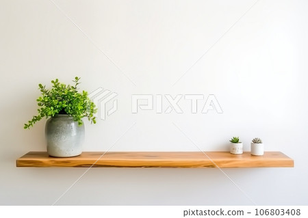 interior design, wooden shelf on white wall with green plant. 106803408
