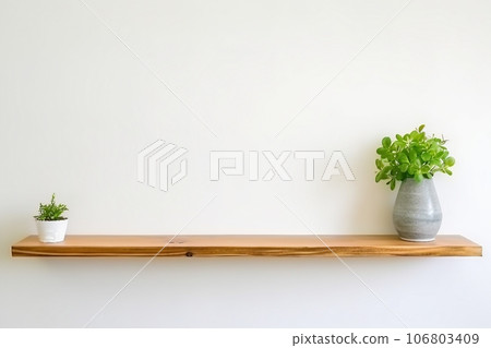 interior design, wooden shelf on white wall with green plant. 106803409