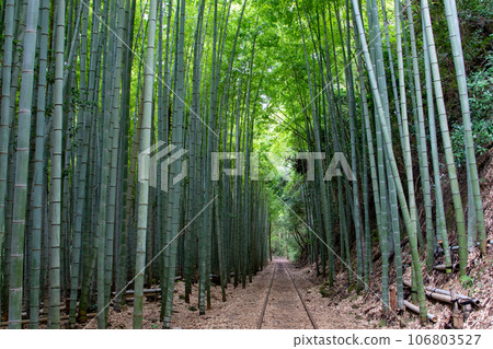 舊JNR倉吉線廢線 106803527