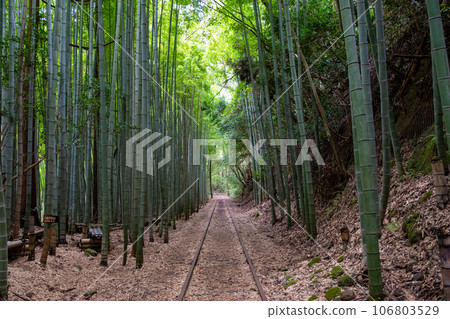 舊JNR倉吉線廢線 舊JNR倉吉線廢線 106803529