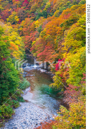 Oyasukyo (Autumn) 106803612