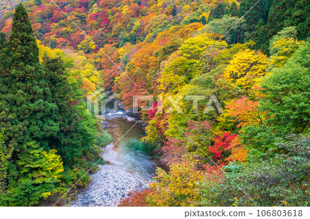 Oyasukyo (Autumn) 106803618