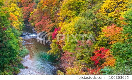 Oyasukyo (Autumn) 106803635