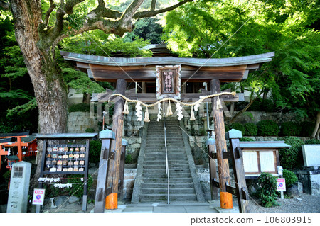 Takuhi Kotakuhime Shrine (torii gate/prayer hall) [Kashiwara City, Osaka Prefecture] 106803915
