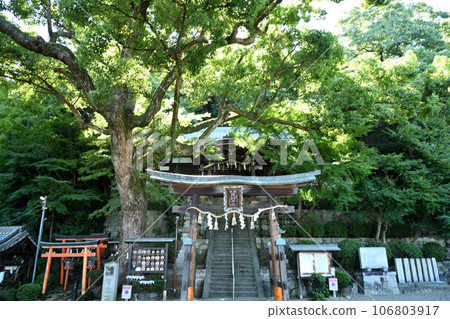 Takuhi Kotakuhime Shrine (torii gate/prayer hall) [Kashiwara City, Osaka Prefecture] 106803917