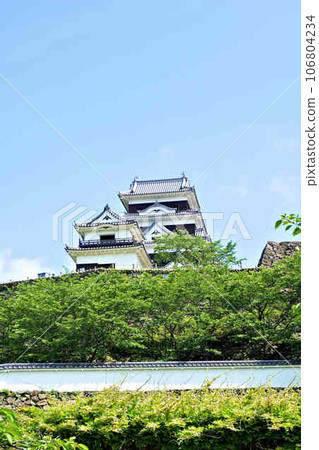 Ozu castle 106804234