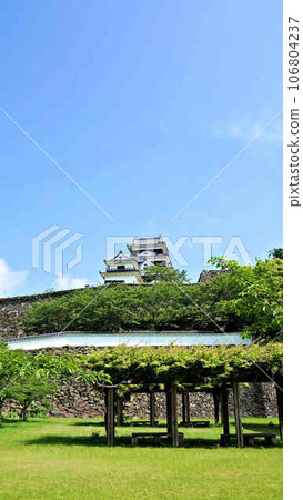小津城堡 小津城堡 106804237
