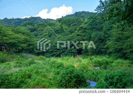 沼尾川水上公園 沼尾川 仲夏風光 澀川市 沼尾川水上公園 沼尾川 仲夏風光 澀川市 106804434