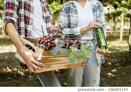 Young Asia Couple farmer holding grapes after harvest from the organic vineyard, healthy fruit concept 106805244