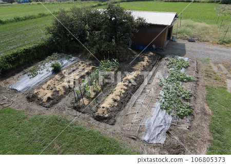 九月中旬的農民菜園 106805373