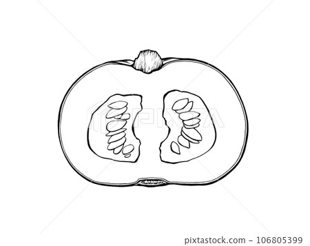 西方南瓜切成兩半的簡單線條畫插圖 106805399