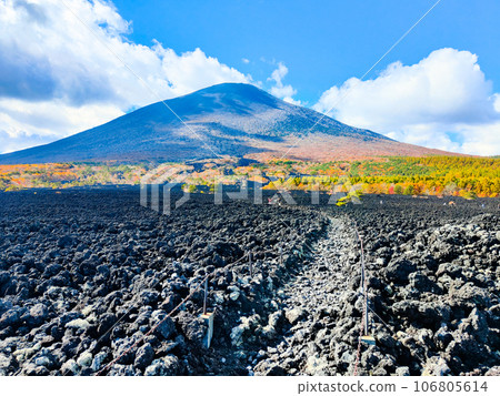 燒橋熔岩流和岩手山（秋季） 106805614