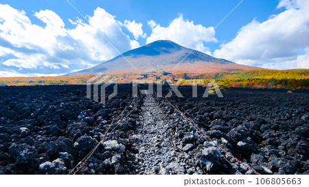 燒橋熔岩流和岩手山（秋季） 106805663