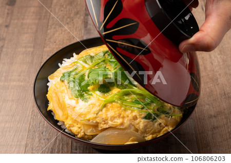 蛋形菜 106806203