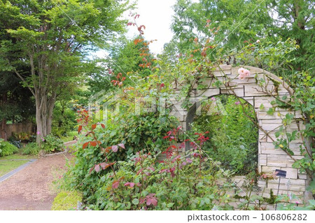 summer herb garden summer herb garden 106806282