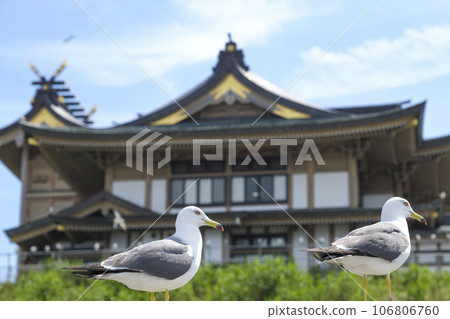 柏島神社和海貓 106806760