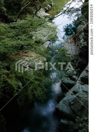 秋葉和山谷 秋葉和山谷 106806854