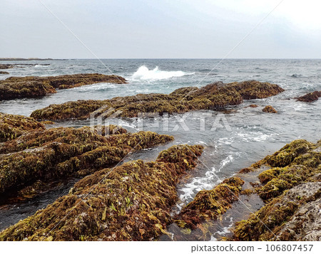 Chiba prefecture's rocky shores 106807457