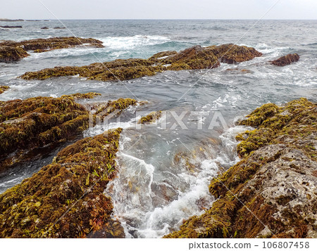 Chiba prefecture's rocky shores 106807458