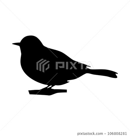Bird silhouettes, bird flying and standing silhouettes detailed 106808281