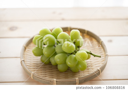 葡萄之王閃耀馬斯喀特 106808816