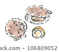 Illustration of fresh scallops 106809052