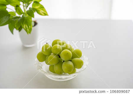 葡萄之王閃耀馬斯喀特 106809087