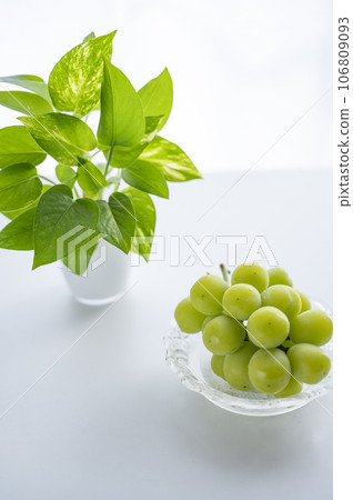 King of Grapes Shine Muscat King of Grapes Shine Muscat 106809093