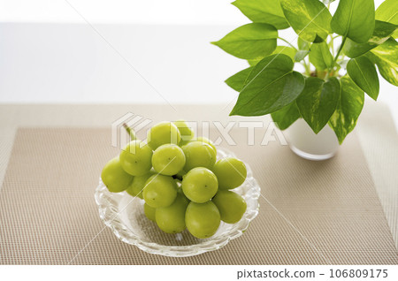 King of Grapes Shine Muscat King of Grapes Shine Muscat 106809175